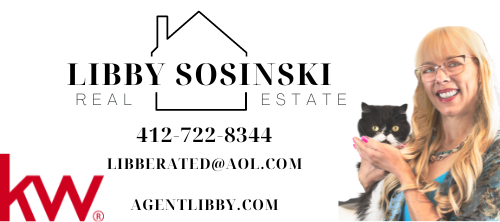 Libby Sosinski, Real Estate Agent
agentlibby.com