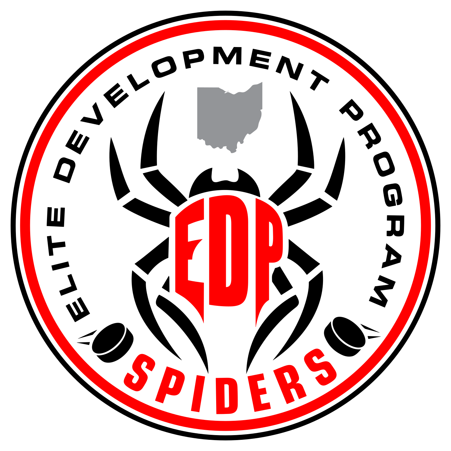 Spiders Elite Development Program